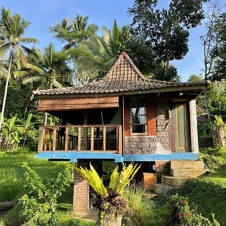Oemah Tepi Sawah Villa Jatiluwih Buitenkant foto