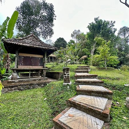 Oemah Tepi Sawah Villa Jatiluwih Buitenkant foto