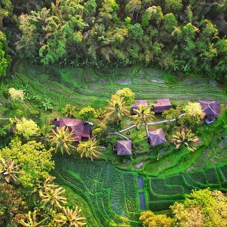 Oemah Tepi Sawah Villa Jatiluwih Buitenkant foto
