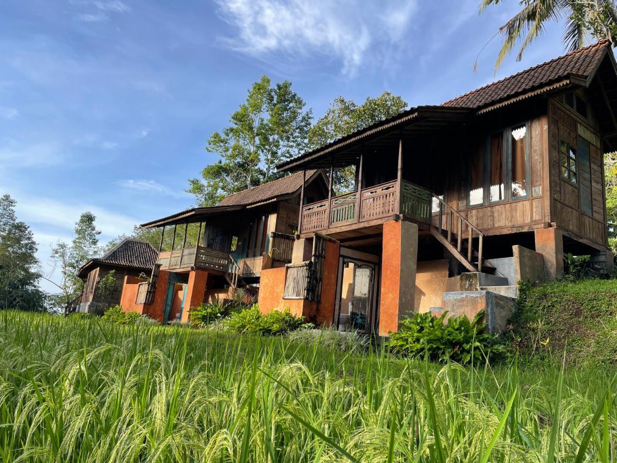 Oemah Tepi Sawah Villa Jatiluwih Buitenkant foto