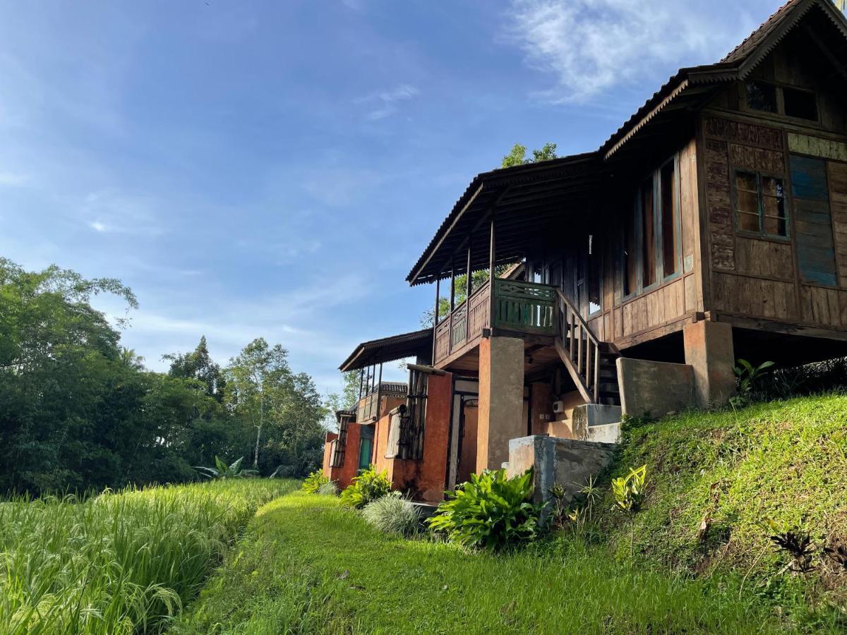 Oemah Tepi Sawah Villa Jatiluwih Buitenkant foto