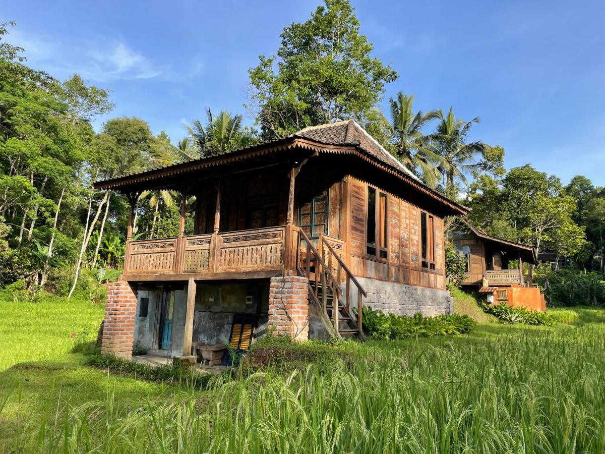 Oemah Tepi Sawah Villa Jatiluwih Buitenkant foto