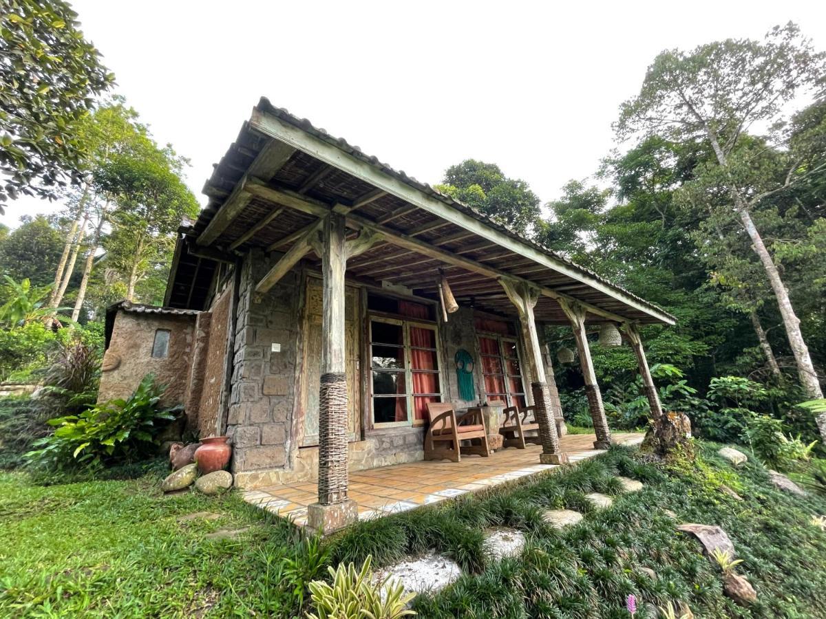 Oemah Tepi Sawah Villa Jatiluwih Buitenkant foto