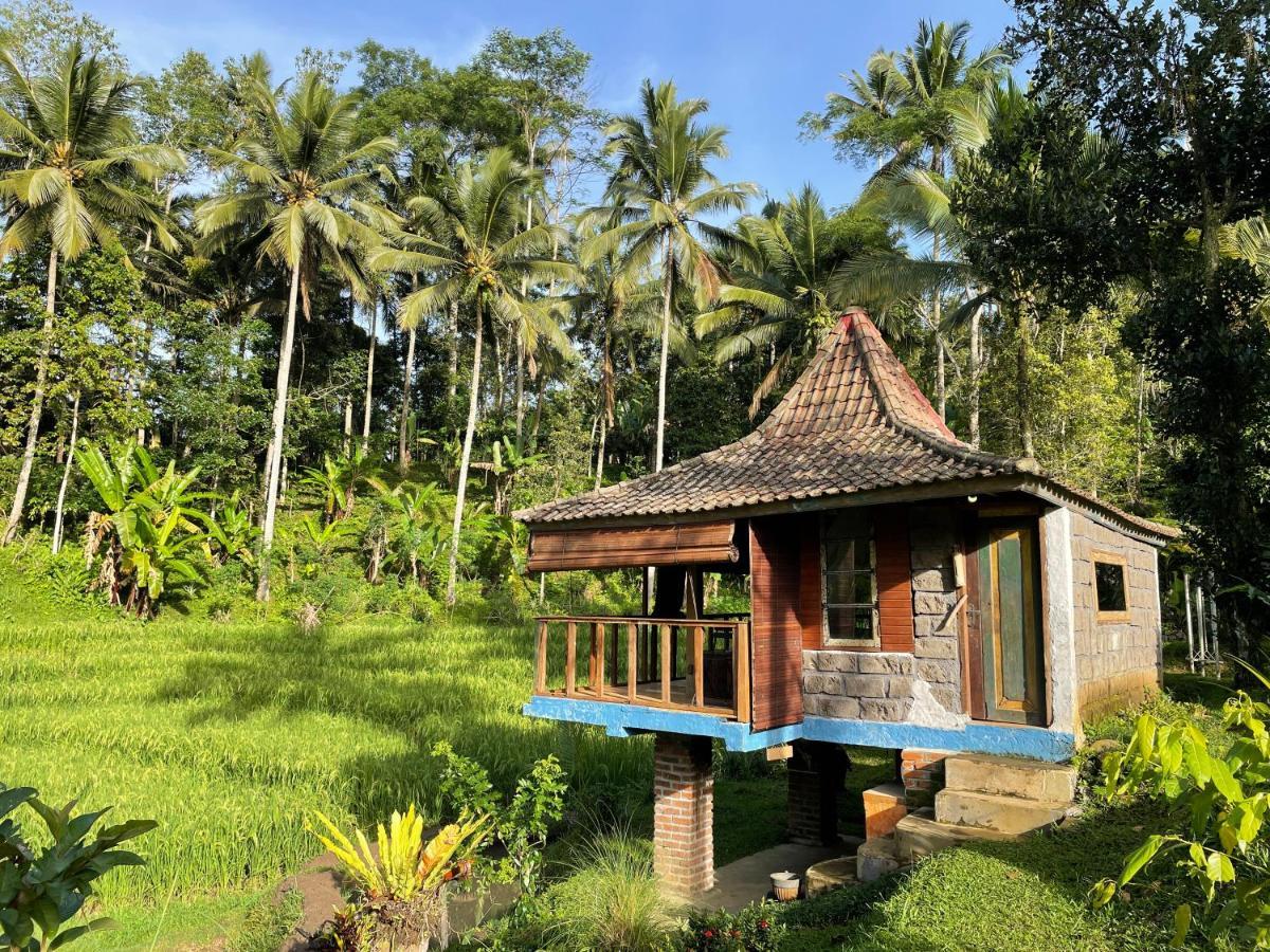Oemah Tepi Sawah Villa Jatiluwih Buitenkant foto