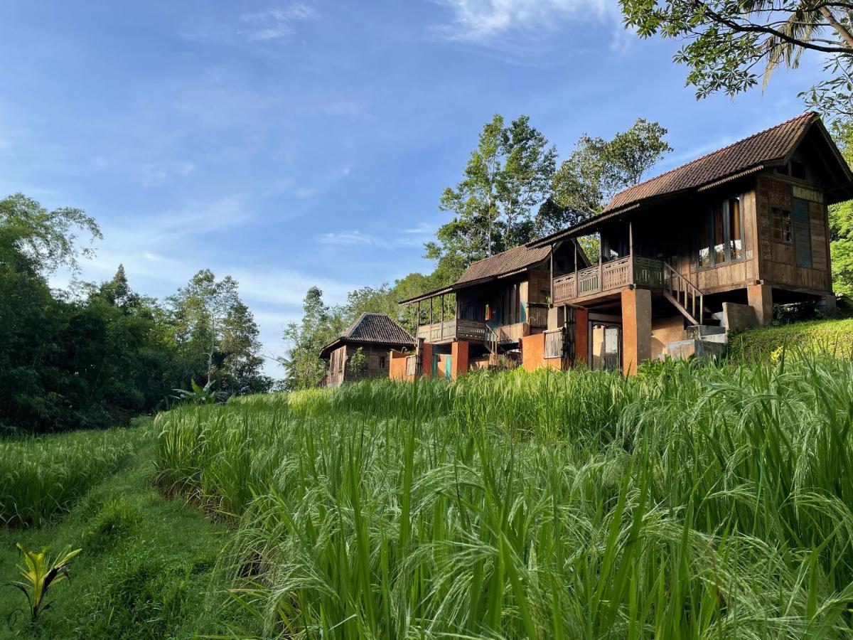 Oemah Tepi Sawah Villa Jatiluwih Buitenkant foto
