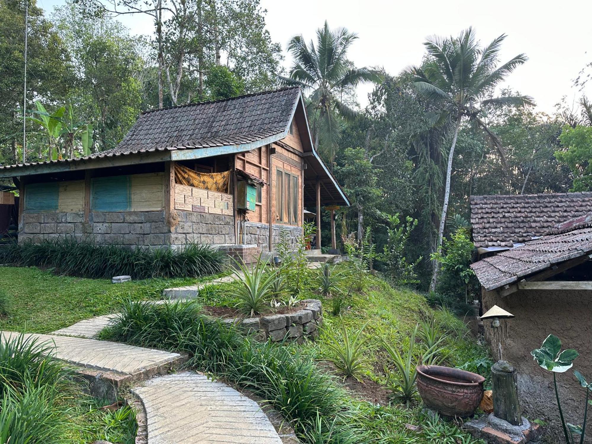 Oemah Tepi Sawah Villa Jatiluwih Buitenkant foto
