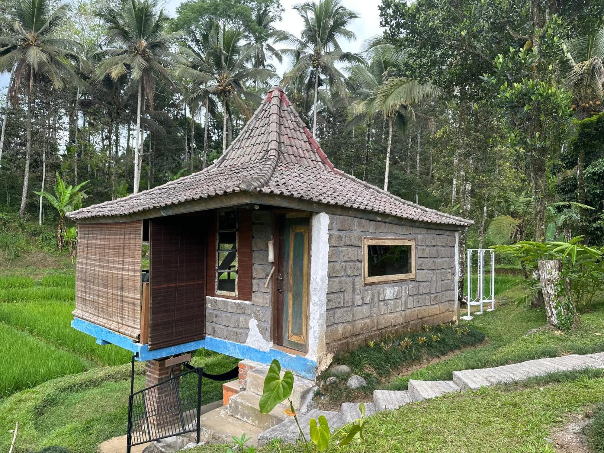Oemah Tepi Sawah Villa Jatiluwih Buitenkant foto