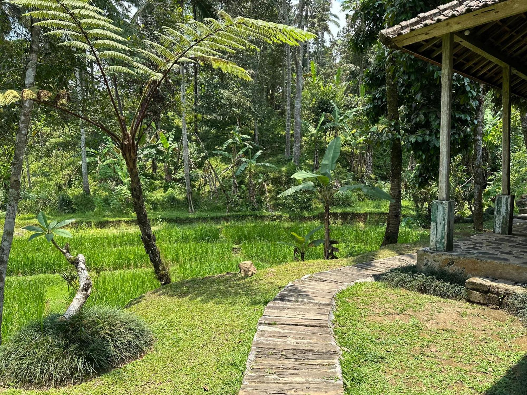 Oemah Tepi Sawah Villa Jatiluwih Buitenkant foto