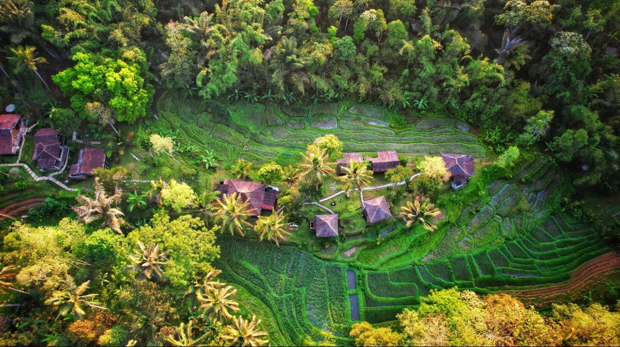 Oemah Tepi Sawah Villa Jatiluwih Buitenkant foto