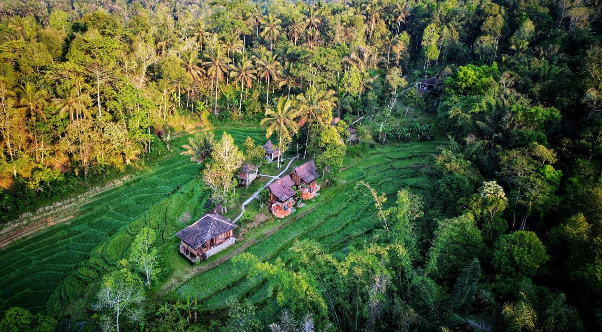 Oemah Tepi Sawah Villa Jatiluwih Buitenkant foto